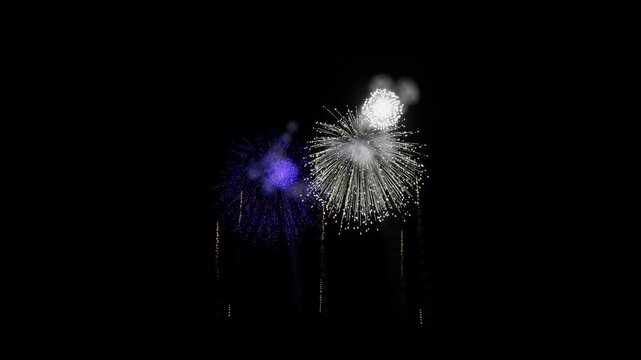 French Guiana Flag Color Fireworks Centered 3D Animation