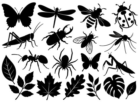 Black silhouettes of insects butterflies and leaves on a white background