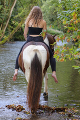 Junge attraktive Reiterin mit Pferd im Fluss © Bittner KAUFBILD.de