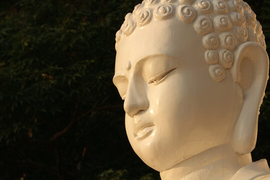 Close up macro portrait of a serene white Buddha statue head in profile view against a dark green trees background.