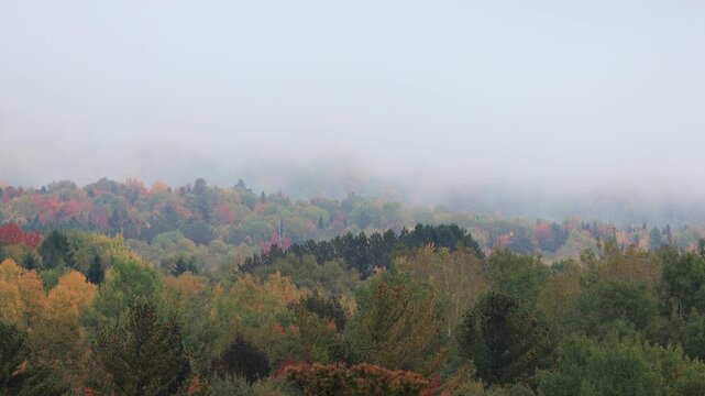 brouillard dans la for&ecirc;t en automne, Brume sur la montagne emn automne.