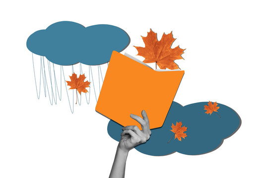 Composite photo collage of hand hold novel book reader autumn maple dry leaves foliage fall season isolated on painted background