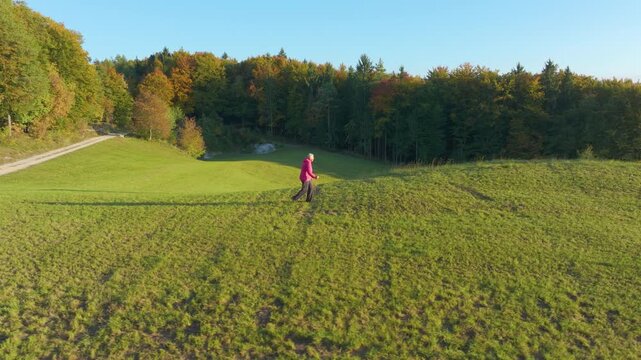 AERIAL: Active senior woman hikes with walking poles across sunny green meadow surrounded by colorful autumn forest in scenic Dolenjska. Healthy aging, outdoor exercise, mobility and active lifestyle.