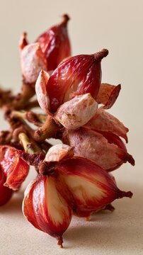 Macro close up of vibrant red cardamom pods opening to reveal seeds on a neutral beige background