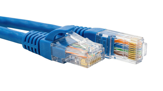 Blue ethernet network cable with rj45 connectors isolated on transparent background