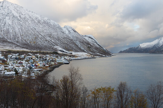 View to the beautiful Ornfjorden with Fjordgard in winter, Senja, Norway