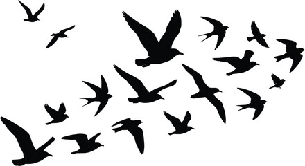 Fototapeta premium Flying bird silhouette set featuring flock of birds in sky for architectural entourage, landscape rendering, exterior elevation and graphic banner design.