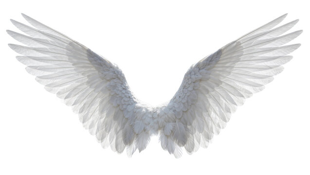 Pair of large white feathered wings, isolated on transparent background