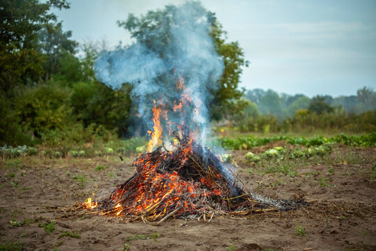 Smoldering brush pile burns on bare farmland, orange flames licking through tangled plant debris. Heavy smoke rises from rural field, suggesting controlled land clearing or waste burn.