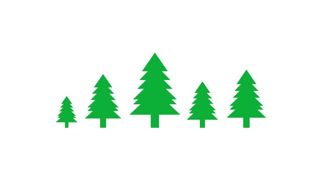 Multiple green pine trees in different growth stages.