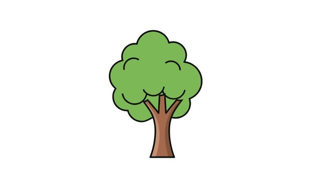 Simple green deciduous tree on white background.