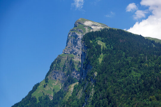 Sommet rocheux et for&ecirc;t de montagne &agrave; Tignes dans les Alpes fran&ccedil;aises