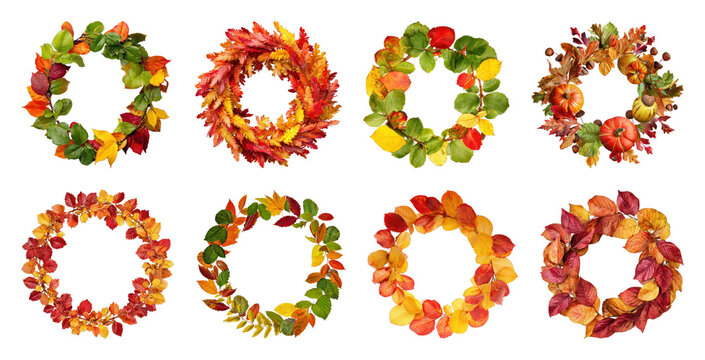 PNG Autumn leaf wreath set with colorful fall foliage arrangements on transparent background