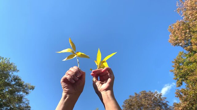 Two female hands hold branches with bright yellow leaves that seem to dance and reach toward the cloudless autumn sky. It is the embodiment of joy, the onset of autumn, warm days, and a cheerful mood.