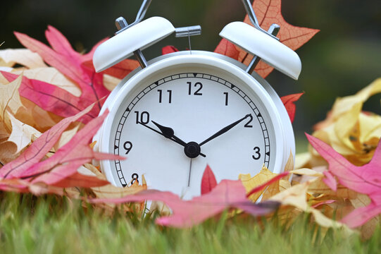 Concept - clock in autumn leaves, changing the clocks off Daylight Savings Time