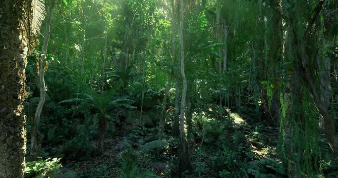 Dense emerald canopy with layered undergrowth and sparkling light flecks, immersive green environment offering calm, refuge, and botanical richness