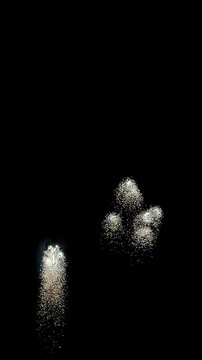 Spectacular fireworks exploding in dark night sky
