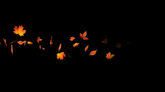 colorful autumn leaves moving in wind isolated alpha channel animation, leaf fall thanksgiving and Halloween celebration video stream overlay vertical social media motion design element