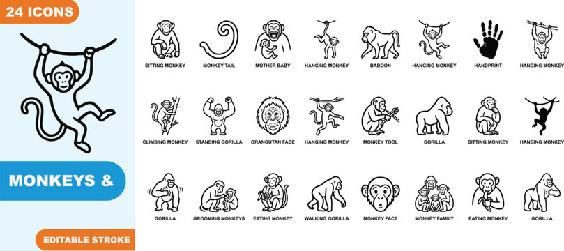 Set of 24 diverse monkey and primate icons in various poses and actions