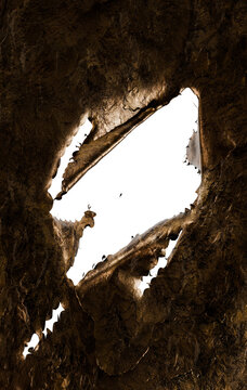 metallic shredded and bent material, transparent background