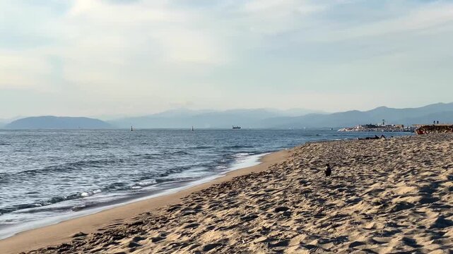 Viareggio beautiful panoramic view with lighthouse and touristic port from long sand beaches of Viareggio, Tuscany, Italy.	