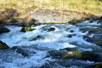 Río Nilahue, Lago Ranco © JuanPablo