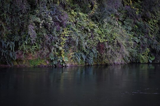 R&iacute;o Nilahue, Lago Ranco