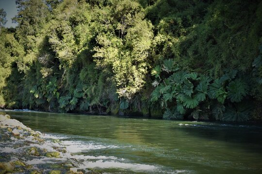 R&iacute;o Nilahue, Lago Ranco