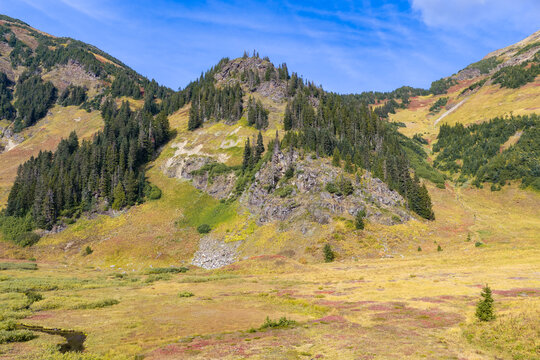 Alpine Mountain Meadow With Fall Colors Near Chilliwack in British Columbia Canada