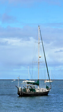 Boats at Rest on Hilo Bay