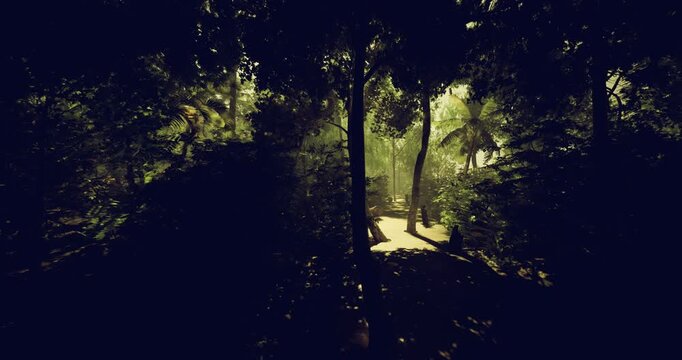 Research biodiversity trail with sampling sites and canopy access, designed for conservation and scientific storytelling, transects through dense foliage,