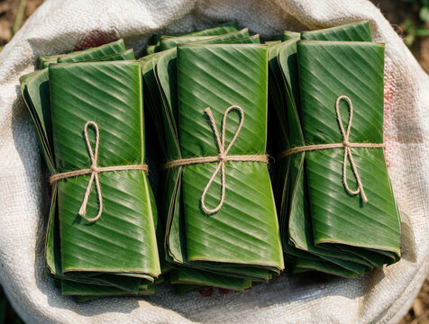 Stack of fresh green banana leaves tied with natural twine. Large organic plant foliage bundles wrapped in string inside white sack. Tropical leaves used for traditional eco friendly food packaging,