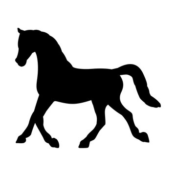 Black silhouette of a horse isolated on transparent background
