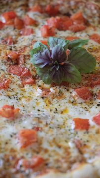 Perfectly baked margherita pizza features vibrant tomato sauce, creamy mozzarella slices, Herbes de Provence and spices.
