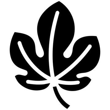 Fig Leaf Silhouette Autumn Icon