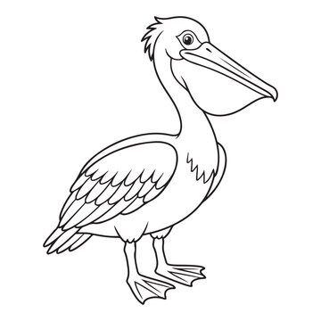 Cute cartoon pelican bird outline line art illustration. Black and white seabird character with large beak pouch for kids coloring page activity book.