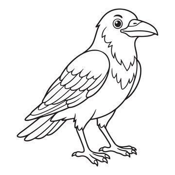 Cute cartoon crow raven bird outline line art illustration. Black and white wild bird character with beak for kids coloring page activity book.