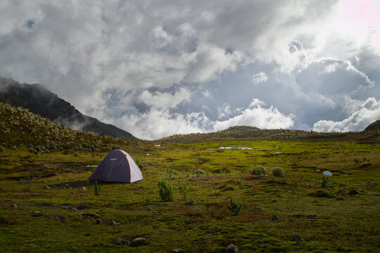 Camping tent pitched in high altitude Andean paramo under dramatic stormy sky at Barro Negro near Pico Pan de Azucar, Merida Venezuela