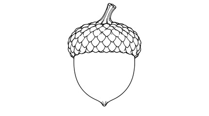 Black outline vector icon of a single acorn with short stem and overlapping scaly cup covering a smooth tapered nut ending in a tiny point drawn with thin detailed lines in centered natural charm © Amanda