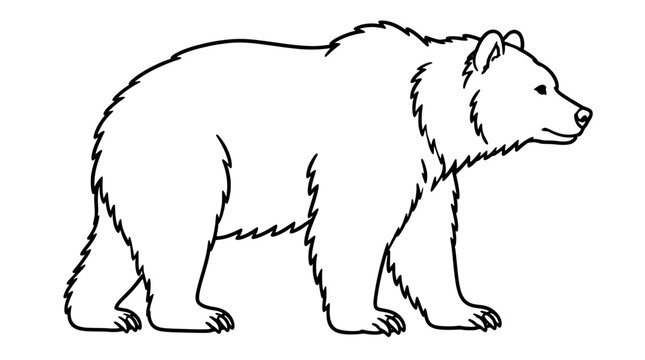 Line art illustration of a bear walking in side profile with shaggy fur, rounded ears, blunt snout and paws rendered in thick outlines in centered full body stance embodying wilderness strength