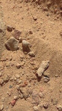 Textured sandy ground with rocks and pebbles