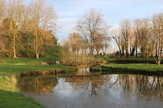 paysage nature