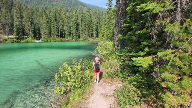 Woman standing on a forest path next to Olive Lake, observing the strikingly clear turquoise water and submerged logs in Kootenay National Park, British Columbia, Canada