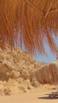 Close-up of camel fur with rocky desert background Egypt. Hurghada.Siva Golden Bay Makadi