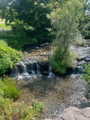 waterfall in the forest © oksana