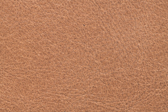 Tan Leather Surface Texture Macro Background