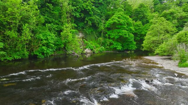 Aysgarth Falls on River Ure from a drone, Yorkshire Dales National Park, North Yorkshire, England, United Kingdom