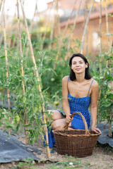 Obraz premium Girl summer resident dweller with wicker basket stands by garden beds. Concept of country life, peasant everyday life, work in garden.
