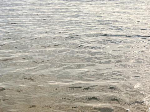 Calm water of the sea