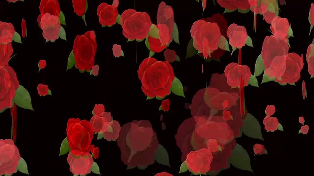 seamless pattern red rose with leaves background